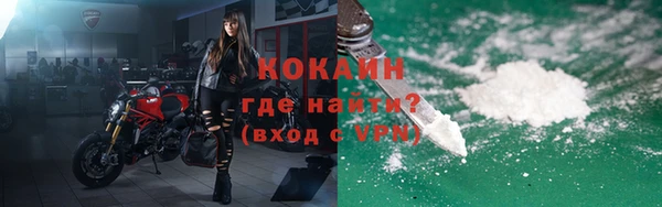 молекула духа Арсеньев