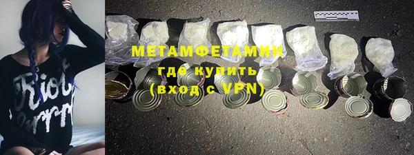 ГАЛЛЮЦИНОГЕННЫЕ ГРИБЫ Сосновый Бор