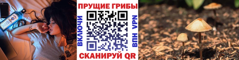 это формула  мега ССЫЛКА  Вельск  Галлюциногенные грибы Magic Shrooms 